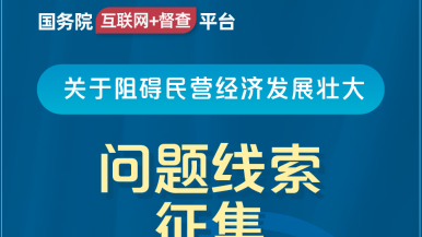 想要~啊哈~深一点少萝国务院“互联网+督查”平台公开征集阻碍民营经济发展壮大问题线索